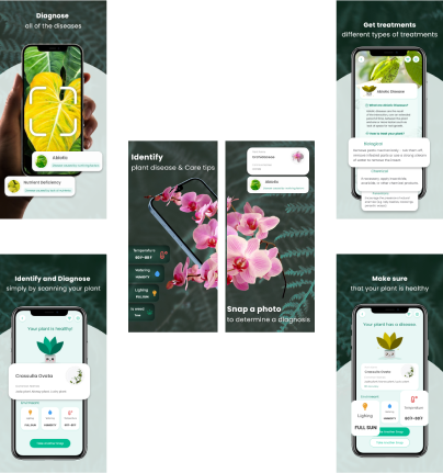 Best Plant Identification App