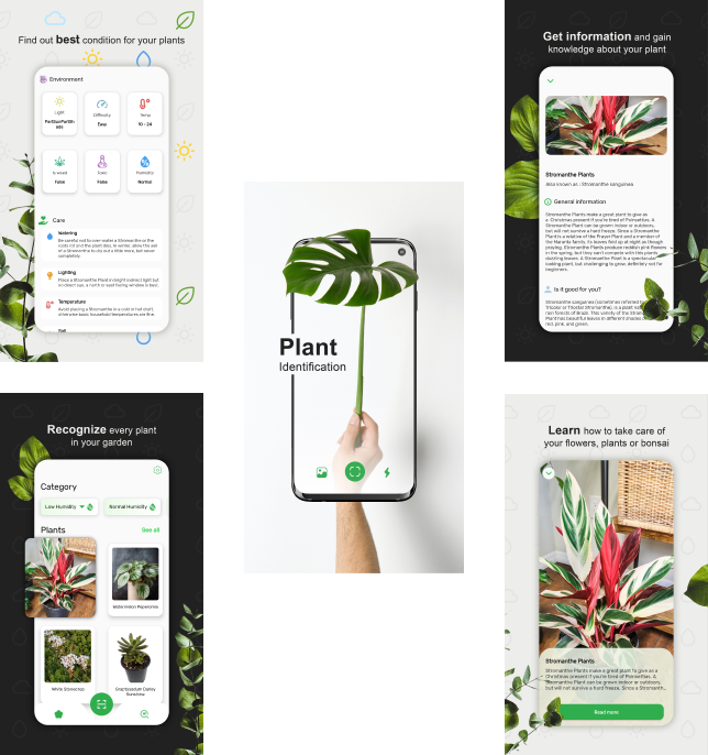 plant identification app